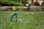 Ortho WeedClear Lawn Weed Killer Concentrate 32 oz. with Dial N Spray Hose-End Sprayer, Kills Crabgrass, Dandelion, Clover and Chickweed