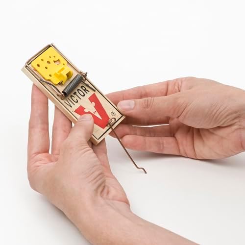 Victor Mouse Traps M035-12, Plastic Pedal, Sustainably Sourced FSC Wood, Wooden Mouse Traps, 12 Pack