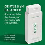 Native Natural Body Wash for Women, Men | Sulfate Free, Paraben Free, Dye Free, with Naturally Derived Clean Ingredients Leaving Skin Soft and Hydrating, Eucalyptus & Mint 18 oz - 2 Pk