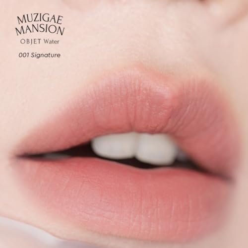 Objet Water Lip Stain Matte Lipstick – (Watery to Blurry Tint), Long-Lasting, Hydrating, Waterproof Wear – K-Beauty Liquid Lipstick for Women, Bold Red Tinted Gloss (01 SIGNATURE)