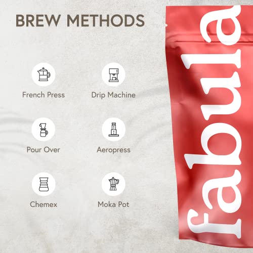 Fabula Coffee Half-Caff Medium Roast Freshly Ground - Organic - Low Acid - Single Origin - Non-GMO - Mold Free - 12 Ounces …