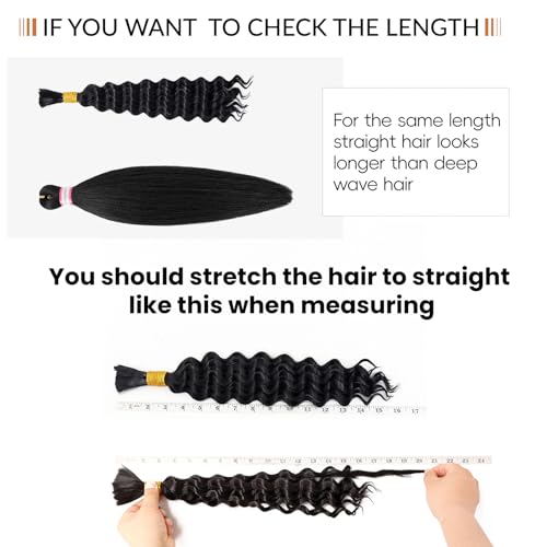 Dorsanee Water Wave Bulk Hair for Braiding 20 Inch 2 Bundles 200g Ginger Curly Braiding Hair for Boho Braids No Weft Wet and Wavy Braiding Hair Extensions (#350,100g/bundle)