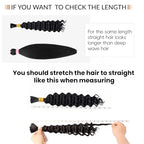 Dorsanee Water Wave Bulk Hair for Braiding 20 Inch 2 Bundles 200g Ginger Curly Braiding Hair for Boho Braids No Weft Wet and Wavy Braiding Hair Extensions (#350,100g/bundle)