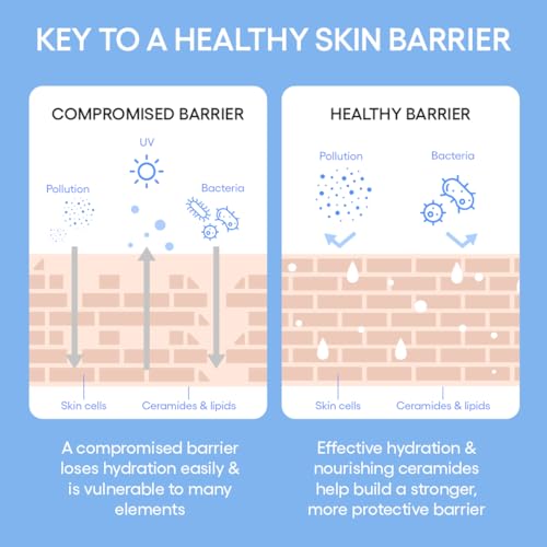 LANEIGE Cream Skin Refillable Toner & Moisturizer with Ceramides and Peptides: Korean Milky Toner, Amino Acid, Nourish, Hydrate, Barrier-Boosting, Visibly Firm