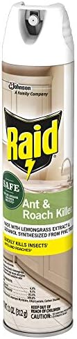 Raid Ant and Roach Killer Aerosol Spray with Essential Oils 11 Ounce (Pack of 1)
