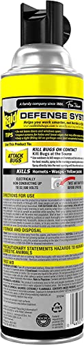 Raid Wasp and Hornet Killer Multi-Packs 17.5 Ounce (Pack of 6)