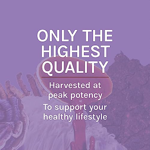 Host Defense Mushrooms Lion's Mane Extract - Lion's Mane Liquid Supplement for Brain Health - Mushroom Support for Focus & Memory Function - Immune & Nervous System Support - 2 fl oz (60 Servings)*