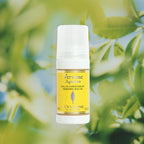 L'OCCITANE Roll-On Aluminum Free Deodorant, 1.6 Fl. Oz: Reduce Body Odor, Fresh Lavender Scent, Refreshing Verbena, Without Alcohol and Aluminum Salts, Made in France