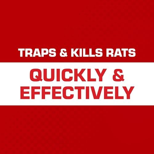 Tomcat Secure-Kill Rat Trap, Features Aggressive Secure Catch Design to Trap and Kill, 2 Traps