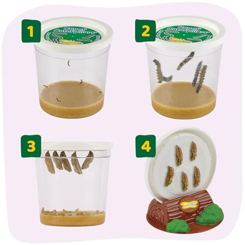 Insect Lore Butterfly Garden with 5 Live Baby Caterpillars - STEM Activity Journal, Habitat, Chrys-A-Lid Holder and Feeder Included | Raise and Release Painted Lady Butterflies