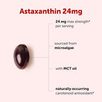 Micro Ingredients Astaxanthin 24mg with MCT Oil, 60 Softgels, 2 Month Supply | Max Strength Astaxanthin Antioxidant Supplements | Fresh Microalgae Source | Non-GMO, Gluten Free, No Soy