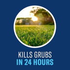 BioAdvanced, Granules, 700745S 24 Hour Grub Killer Plus, 20-Pound, 10,000 sqft Standard Bag