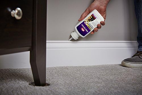 Ortho Home Defense Bed Bug, Flea & Tick Killer Powder, 12 oz