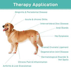 Red Light Therapy for Dogs - 12x 650 nm & 1 x808nm Infrared Red Light Therapy Vet Device, Portable Therapy Device for Pain Relief Arthritis, Spinal, Promote Blood Circulation