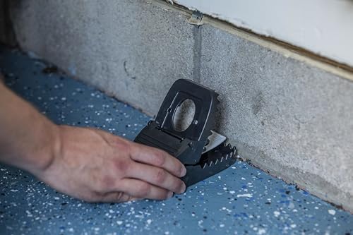 Tomcat Secure-Kill Rat Trap, Features Aggressive Secure Catch Design to Trap and Kill, 2 Traps
