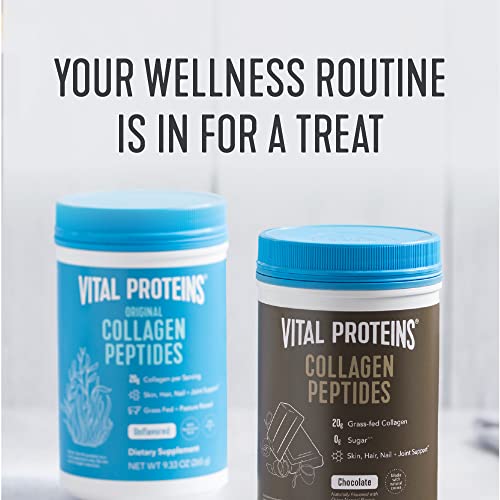 Vital Proteins Collagen Peptides Powder, Promotes Hair, Nail, Skin, Bone and Joint Health, Chocolate, 13.5 oz, Pack of 1