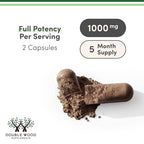 Reishi Mushroom Capsules (4:1 Ganoderma Extract, 1,000mg Red Reishi Powder Servings) 300 Count, 5 Month Supply, Potent Mushroom Supplement for Immune System Support and Defense by Double Wood
