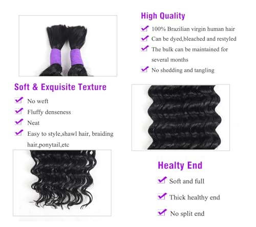 Human Braiding Hair Deep Wave Bulk Human Hair Braiding Hair Boho Hair For Braiding No Weft 100g (1Pack-2Bundles) 100% Human Hair Micro Braiding Hair For Bohe Braids (16inch, Natural Black)