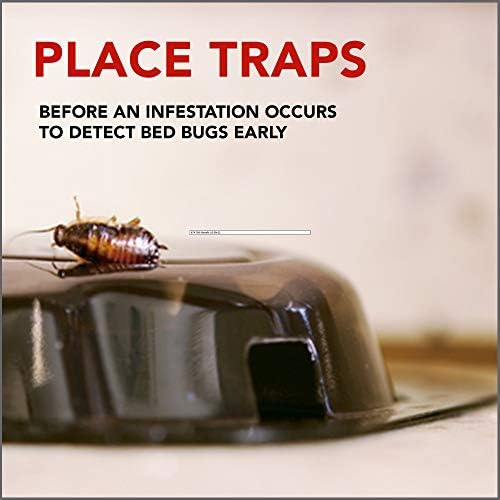 Raid Bed Bug Detector and Trap, For Indoor Use, 4 Count