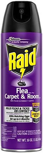 Raid Flea Killer, Kills Fleas, Crickets, Roaches, Silverfish and Ticks, Use in your Home or on your Dog, 16 oz
