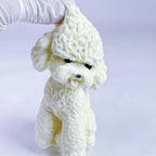 Handmade Big Taba Squishy Dog Toy, Taba Squishy Teddy Dog Toy, Cute Squishy Poodle,Realistic Puppy Toy, Silicone Mochi Fidget Pup, Stress Relief Gift for Adults & Kids (White-L)