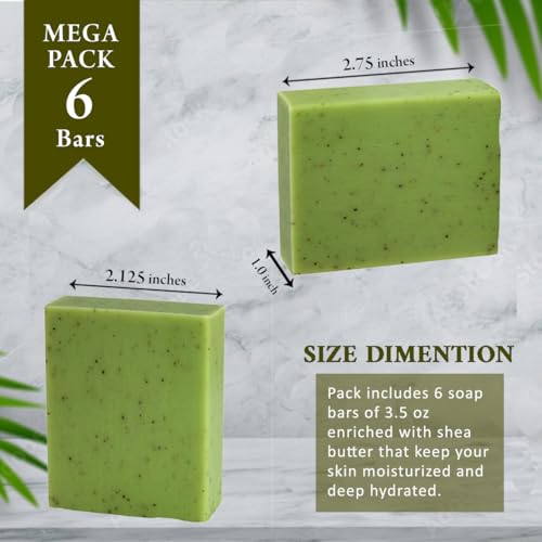 Eucalyptus Scented Natural Soap Bars (6 Bars), 3.5oz Moisturizing French Triple Milled Soap Bars Enriched with Shea Butter - Pure Plant Oil Bath & Body Soap Bars