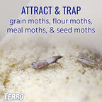 TERRO T2900 (Pack of 2) Pantry Moth Traps - Traps grain moths, flour moths, meal moths, and seed moths, (Packaging May Vary)