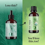 Certified Organic Rosemary Oil for Hair - Extra Large 100% Pure USDA Organic Rosemary Essential Oil for Hair Skin and Nails - Organic Hair Oil for Dry Scalp Treatment and Enhanced Volume and Shine