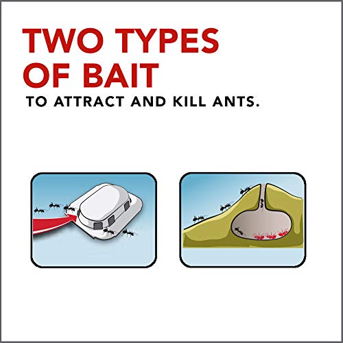 Raid Max Double Control Ant Baits, Household Use Defense System to Control Bugs, Dual Bait Technology 0.28 Ounce (Pack of 2)