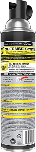 Raid Wasp and Hornet Killer Multi-Packs 17.5 Ounce (Pack of 6)
