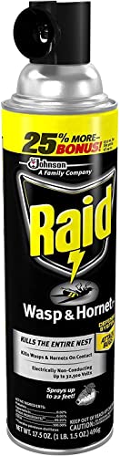 Raid Wasp and Hornet Killer Multi-Packs 17.5 Ounce (Pack of 6)