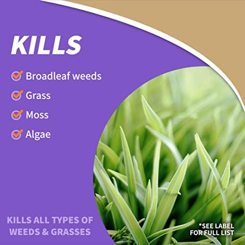 Bonide Captain Jack's Deadweed Brew, 32 oz Concentrate, Controls All Types of Weeds and Grasses, For Organic Gardening