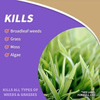 Bonide Captain Jack's Deadweed Brew, 32 oz Concentrate, Controls All Types of Weeds and Grasses, For Organic Gardening