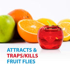 Fruit Fly Traps for Indoors by Raid | 2 Lures + 2 Refills | Effective Fruit Fly Trap for Indoor Use | Fruit Fly Killer & Gnat Traps for House Indoor | Easy to Use & Safe Food-Based Lure Fly Catcher