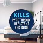 BioAdvanced Home Pest Bed Bug & Flea Killer, Continuous Spray, 15.7 oz