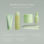 Abib Acne Foam Cleanser Heartleaf Foam 5.07 fl oz / 150 ml | Korean Mild Acidic Daily Face Wash for Acne-Prone Skin, Hydrating & Soothing with Panthenol B5, Deep Cleansing for Sensitive Skin, K-Beauty