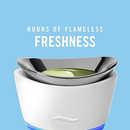 Febreze Wax Melts, Wax Melt Warmer Cubes, Wax Warmer Cubes, Gain Original Scent, 6 packs, 6 cubes each, Air Freshener