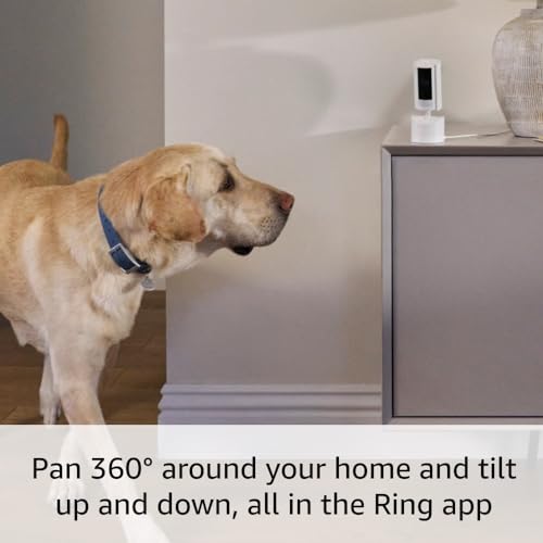 Ring Pan-Tilt Indoor Cam | See all around your home or business with 360° pan coverage, HD video, plus Two-Way Talk (2024 release) | Black