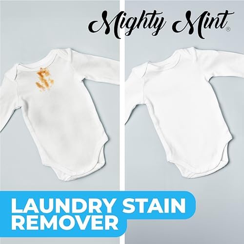 Mighty Mint Laundry Stain Remover, Parent’s Choice Non-Toxic Spray for Stains from Food, Drink, Grease, Natural Peppermint Scent, 16oz