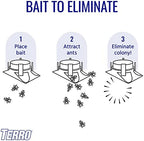 TERRO T1806SR 2-Pack Outdoor Liquid Ant Baits-12 Traps