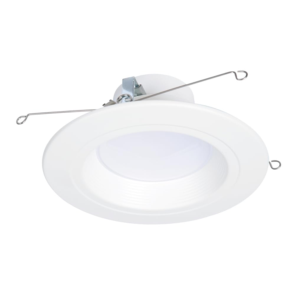 HALO RL 5/6 in LED Recessed Light Trim Selectable Color Temperature 2700K 3000K 3500K 4000K 5000K Dimmable Dim to Warm 600 Lumens Wet Location Indoor Outdoor Retrofit Downlight RL56069FSD2W1EWH