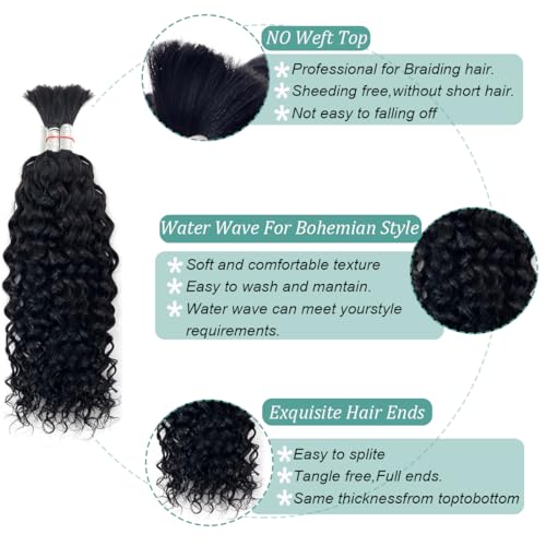 Water Wave Bulk Human Hair for Braiding No Weft Unprocessed Brazilian Virgin Human Hair Extensions Wet and Wavy Micro Braiding Hair Human Hair Bundles For Boho Braids Natural Color(18inch 2pack/100g)
