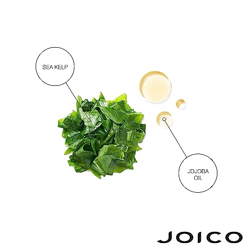 Joico Moisture Recovery Treatment Balm | For Thick, Coarse, Dry Hair | Replenish Moisture | Restore Smoothness & Elasticity | Strengthen Hair | Reduce Breakage & Frizz | With Jojoba Oil & Shea Butter