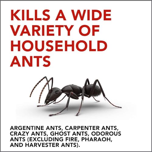Raid Ant Gel, Kills Ants You Don't See 1.06 Ounce (Pack of 2)