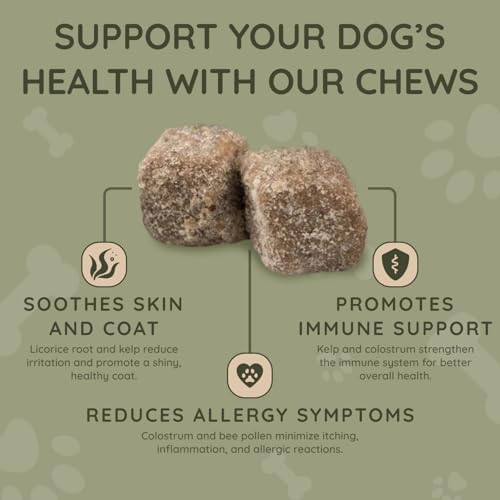 ASHER HOUSE WELLNESS Dog Allergy Chews - All-Natural Itchy Skin Relief for Dogs with Bee Pollen, Colostrum - Licking Paw Treatment, Allergy Medicine for Dogs Over 12 Weeks, 120 Chews