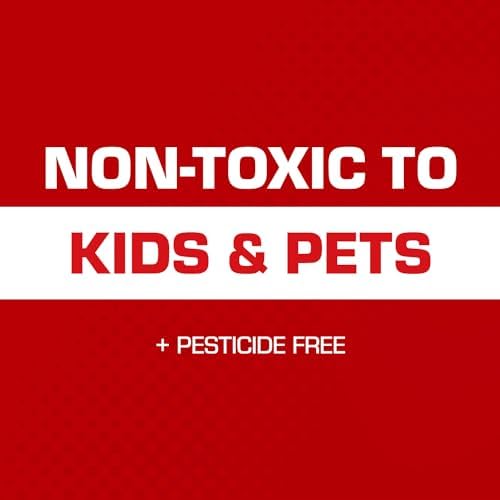 Tomcat Rat Trap with Immediate Grip Glue for Rats, Mice, Snakes, Cockroaches, Spiders, and Scorpions, Ready-To-Use, 2 Traps
