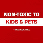 Tomcat Rat Trap with Immediate Grip Glue for Rats, Mice, Snakes, Cockroaches, Spiders, and Scorpions, Ready-To-Use, 2 Traps