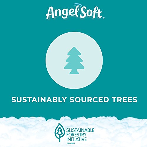 ANGEL SOFT Toilet Paper Bath Tissue, 12 Double Rolls, 260+ 2-Ply Sheets Per Roll