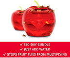 Fruit Fly Traps for Indoors by Raid | 2 Lures + 2 Refills | Effective Fruit Fly Trap for Indoor Use | Fruit Fly Killer & Gnat Traps for House Indoor | Easy to Use & Safe Food-Based Lure Fly Catcher