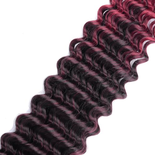 Curly Crochet Hair,Ocean Wave Crochet Hair 22Inch Curly Braiding Hair for Boho Braids Synthetic Hair Extensions for Women(22 Inch,3pack,#1B/TBug)
